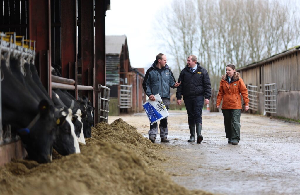 Farmers discussing cattle care on a dairy farm.