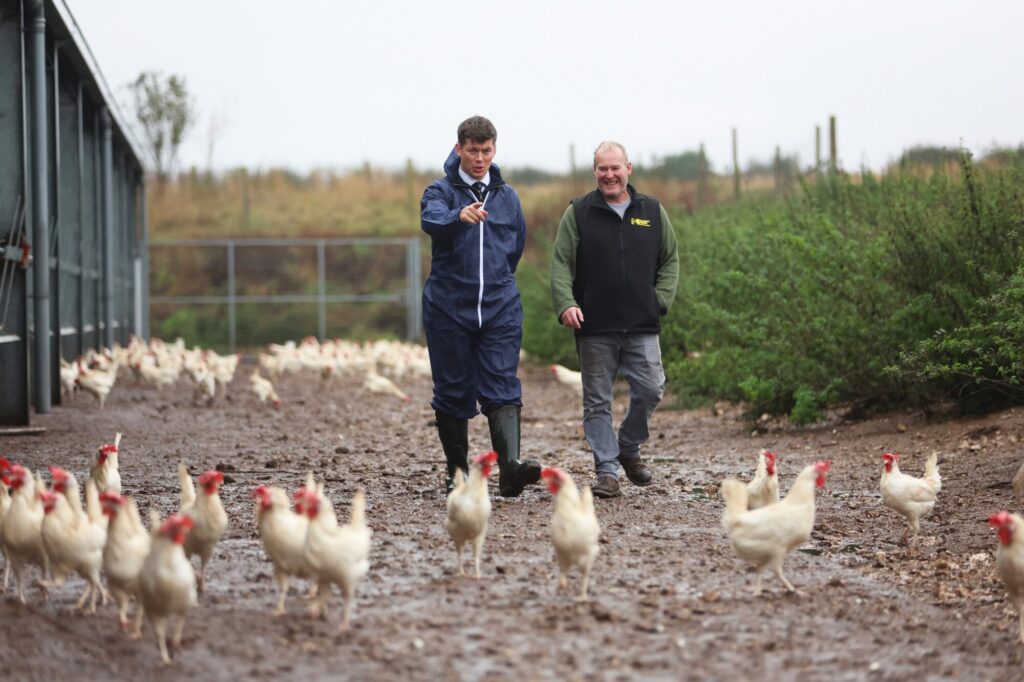 Farmers engaged in a discussion while walking through a chicken farm.