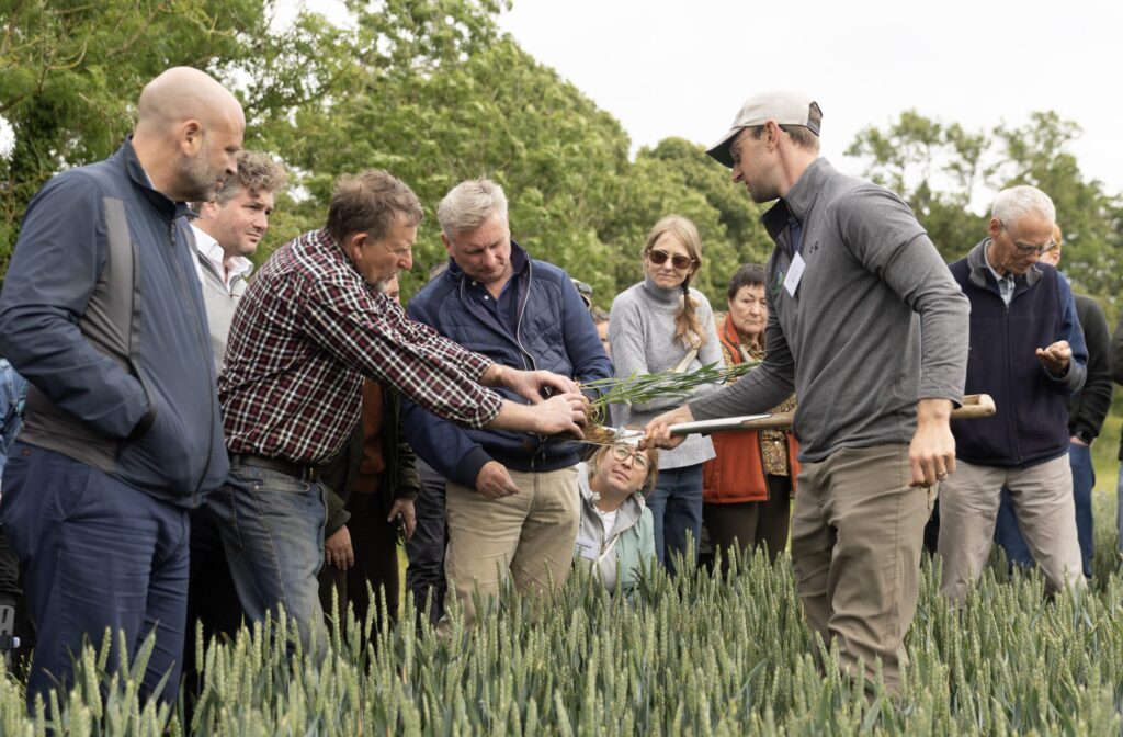 Participants engaging in an agricultural workshop, examining wheat plants.